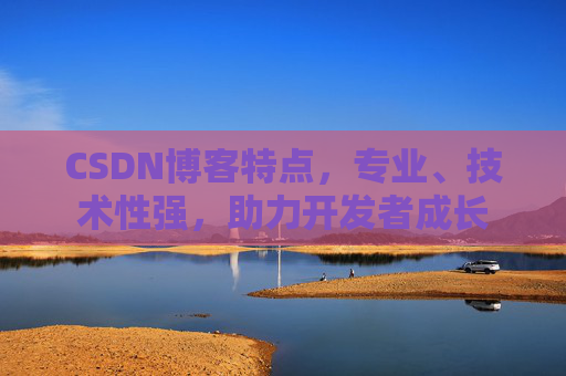 CSDN博客特点，专业、技术性强，助力开发者成长